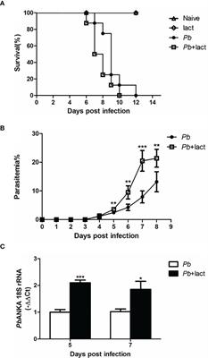Impact of Galectin-Receptor Interactions on <mark class="highlighted">Liver Pathology</mark> During the Erythrocytic Stage of Plasmodium berghei Malaria